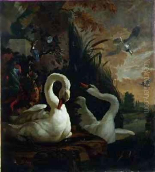 A Pair of Mute Swans, One Preening Oil Painting by Abraham Bisschop Dordrecht