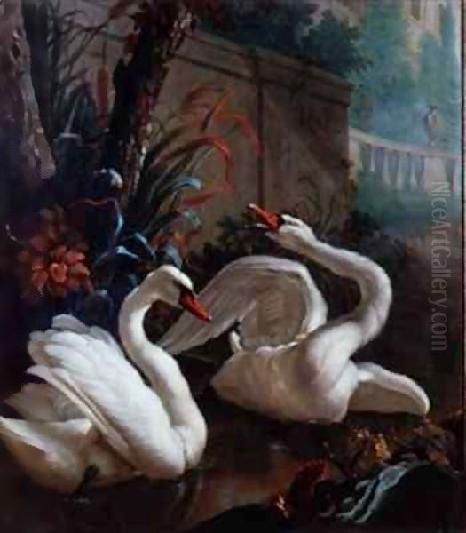 A Pair of Mute Swans in a Pond Oil Painting by Abraham Bisschop Dordrecht