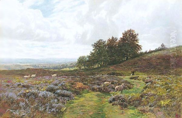 Sheep Grazing On A Moorland Oil Painting by George Vicat Cole