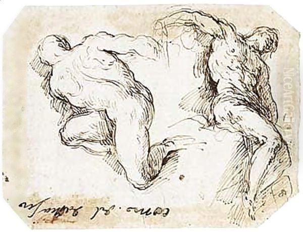 Studies Of Two Male Nude Figures Oil Painting by Palma Vecchio (Jacopo Negretti)