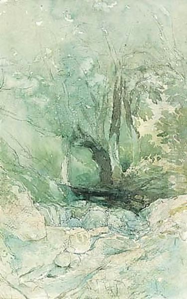 A Woodland Stream Oil Painting by David Cox