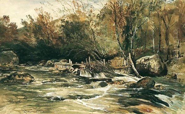 Salmon Trap On The River Lledr, North Wales Oil Painting by William James Muller