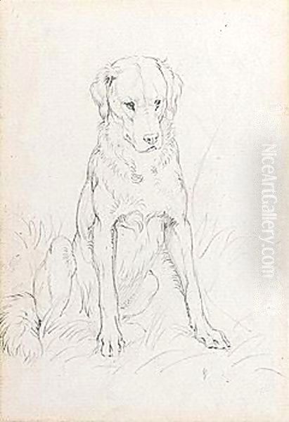 A Dog 2 Oil Painting by Sir Edwin Henry Landseer