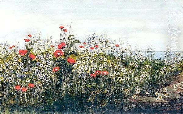 A Poppy Field By The Sea Oil Painting by Andrew Nicholl