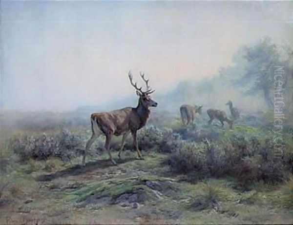 The Deer, Morning Effect (Les Cerfs, Effet Du Matin) Oil Painting by Rosa Bonheur