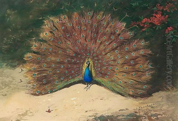 Peacock And Butterfly Oil Painting by Archibald Thorburn