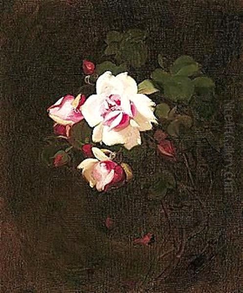 Pink Roses 3 Oil Painting by James Stuart Park