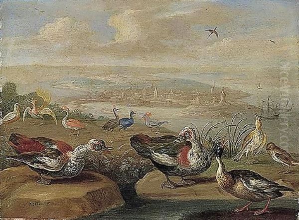 Ducks And Other Birds On The Seashore Oil Painting by Jan van Kessel