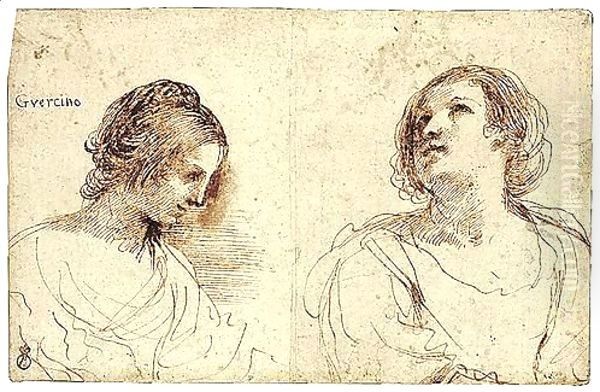 Two Female Head Studies Oil Painting by Giovanni Francesco Barbieri