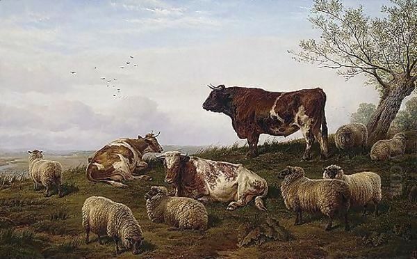 Cattle And Sheep Resting Oil Painting by Charles Jones