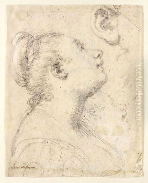 Study Of The Head And Shoulders Of A Woman In Profile And Separate Studies Of Her Head And Ear Oil Painting by Gregorio Pagani