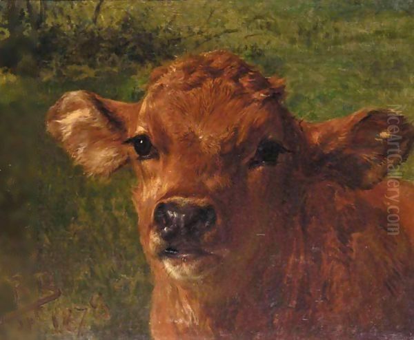 Tete De Veau Oil Painting by Rosa Bonheur