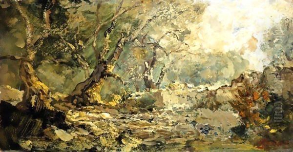 Ulivi A Bordighera Oil Painting by Pompeo Mariani