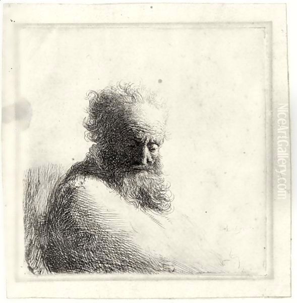 Bust Of An Old Bearded Man, Looking Down, Three Quarters Right Oil Painting by Rembrandt Van Rijn