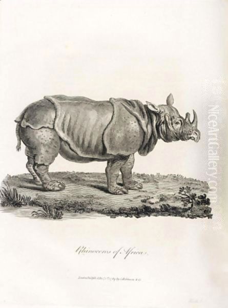 Rhinoceros Oil Painting by Bruce James Talbert