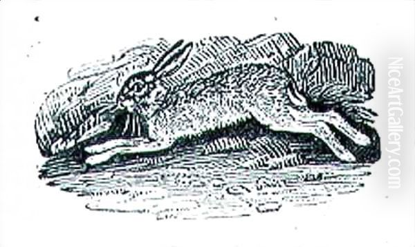 Hares Oil Painting by Thomas Falcon Bewick