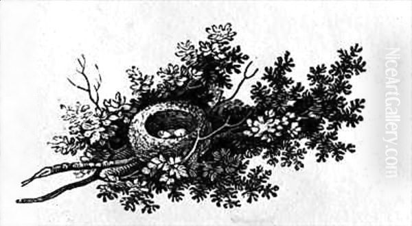 Bird's Nest, from the 'History of British Birds' Volume I Oil Painting by Thomas Falcon Bewick