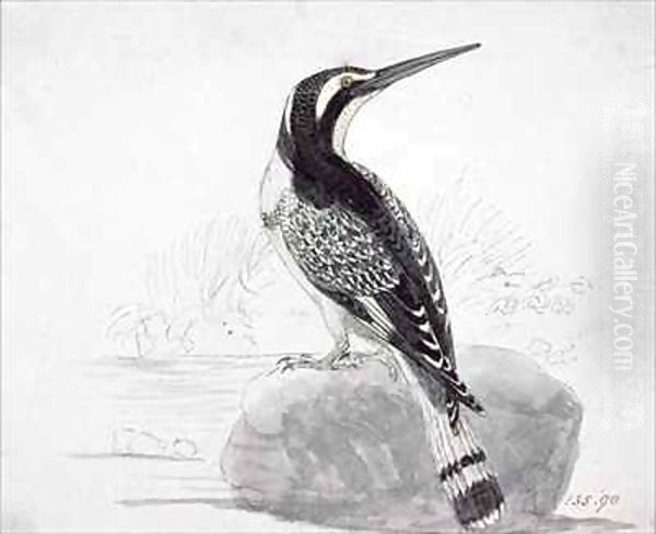 Black and White Kingfisher Oil Painting by Thomas Falcon Bewick