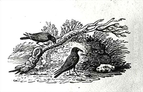 Crows (Corvus corone corone) from the 'History of British Birds' Volume I Oil Painting by Thomas Falcon Bewick