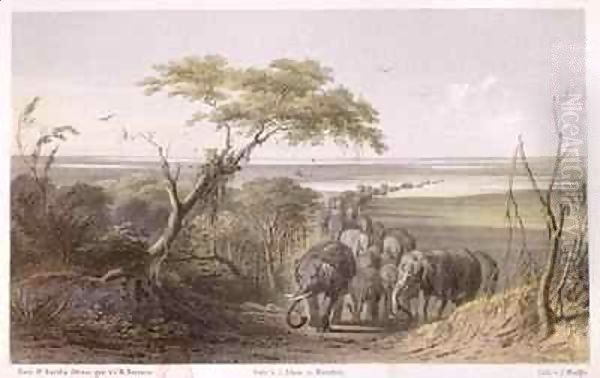 Herd of Elephants on the border of Chad Oil Painting by Johann Martin Bernatz