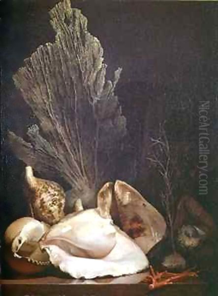 Still Life of Shells and Coral Oil Painting by Antoine Berjon