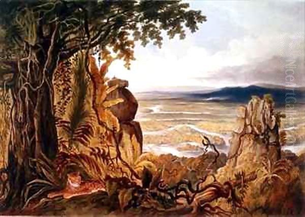 The Comuti or Taquiare Rock, on the River Essequibo Oil Painting by Charles Bentley