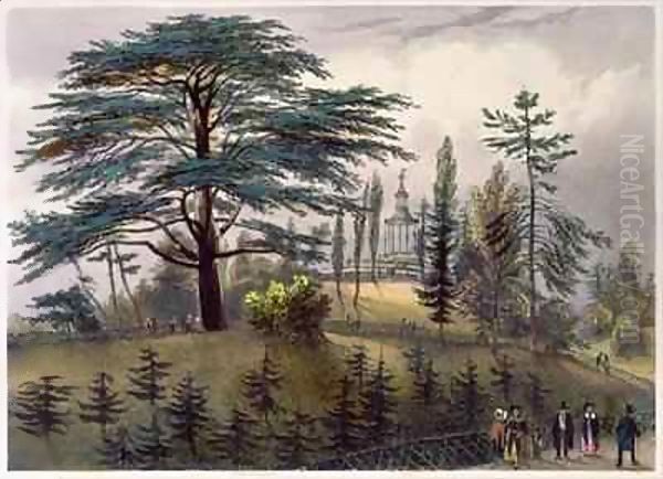 The Cedar of Lebanon and the Labyrinth at the Jardin des Plantes, Paris Oil Painting by Philippe Benoist