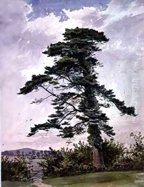 Landscape, with a Scotch Pine Oil Painting by George Bedford