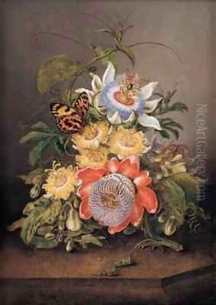 Passionflowers Oil Painting by Ferdinand Bauer