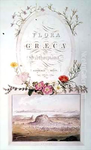 Athens, Title page of 'Flora Graeca Sibthorpiana' Oil Painting by Ferdinand Bauer