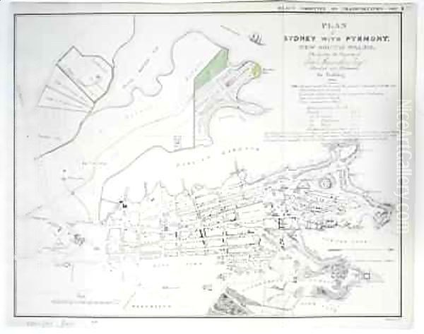 Plan of Sydney with Pyrmont, New South Wales, the latter the Property of Edward Macarthure Esquire Divided into Allotments for Building Oil Painting by James Basire