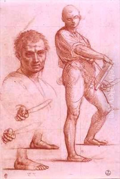 Study of a male holding a sword and a book, the sword and feet rehearsed twice, and a male head Oil Painting by Fra (Baccio della Porta) Bartolommeo