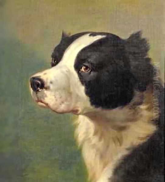 Head of a Sporting Dog Oil Painting by Ranelagh Barret