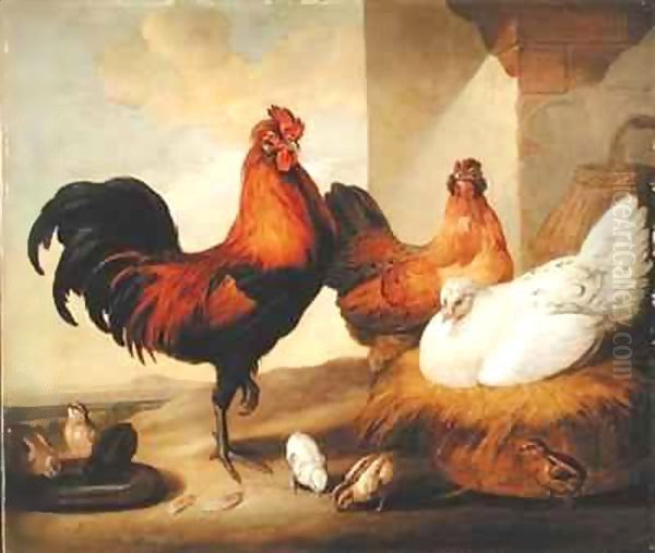 Domestic Cock, Hens and Chicks Oil Painting by Francis Barlow