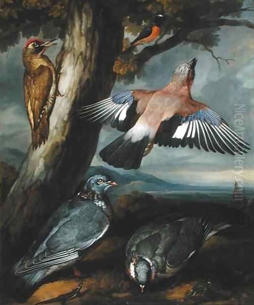 Jay, Green Woodpecker, Pigeons and Redstart Oil Painting by Francis Barlow