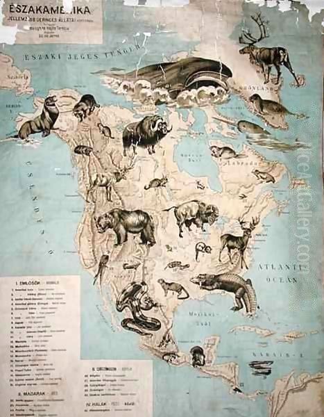 Map of animals in North America Oil Painting by Janos Balint