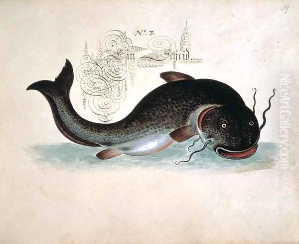 Catfish Oil Painting by Leonhard Baldner