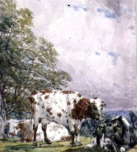 A Study of Cattle Oil Painting by Thomas Baker