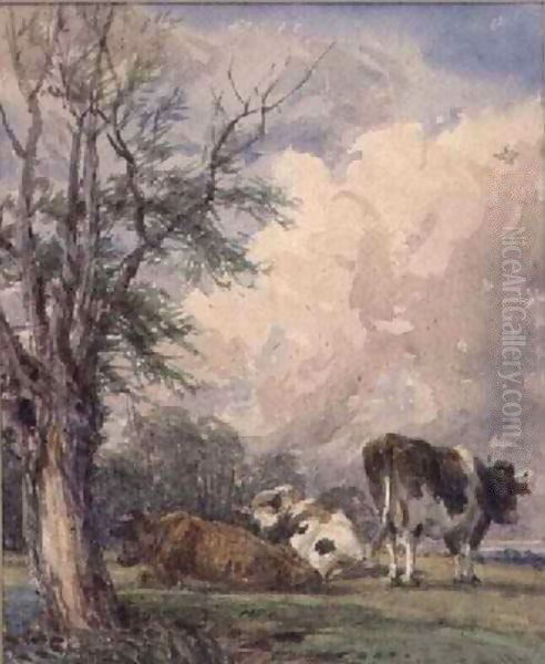 A Study of Cattle 2 Oil Painting by Thomas Baker