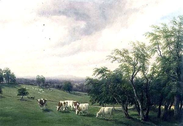 Cattle Grazing in Parkland Oil Painting by Thomas Baker