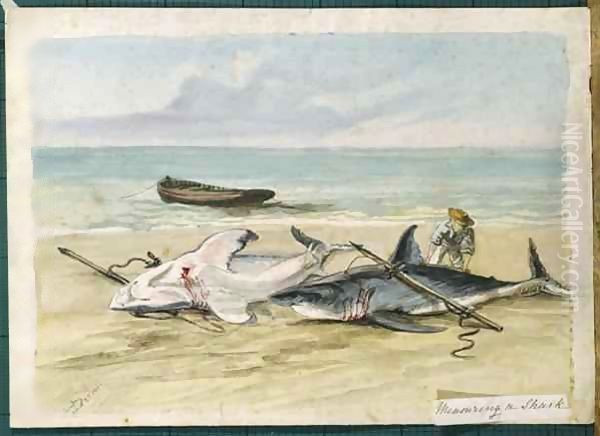 Man measuring two dead sharks on a beach, Walvis Bay, Namibia Oil Painting by Thomas Baines