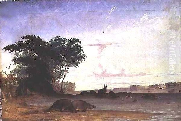 A Herd of Hippopotami near the mouth of the Luala River Oil Painting by Thomas Baines