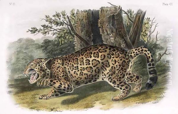 The Jaguar Oil Painting by John Woodhouse Audubon