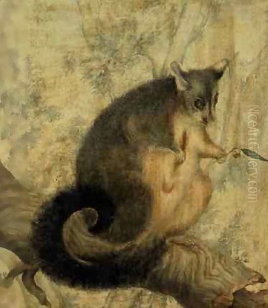 The Possum Oil Painting by Caroline Louisa Atkinson