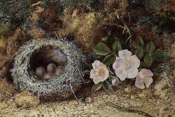 Bird nest and briar roses Oil Painting by W. M. Arundale