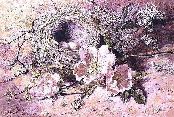 Blossom and Bird's Nest Oil Painting by Helen Cordelia Coleman Angell