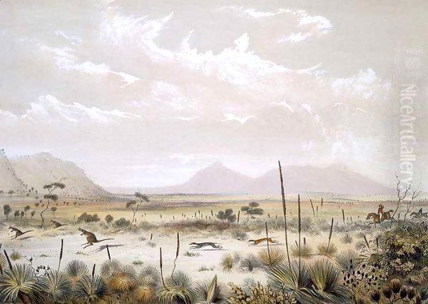 Kangaroo Hunting near Port Lincoln, from 'South Australia Illustrated' Oil Painting by George French Angas