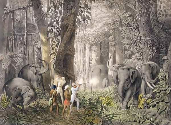 Elephant hunt in the region of Logalla, from 'Travels of Prince Emanual Andrasy in Eastindian Ceylon, Java, China and Bengal' Oil Painting by Graf Emanuel Andrasy