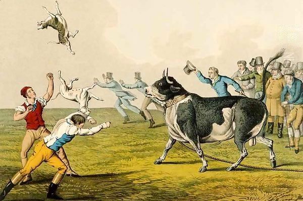 Bull Baiting Oil Painting by Henry Thomas Alken