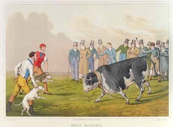 Bull Baiting 2 Oil Painting by Henry Thomas Alken